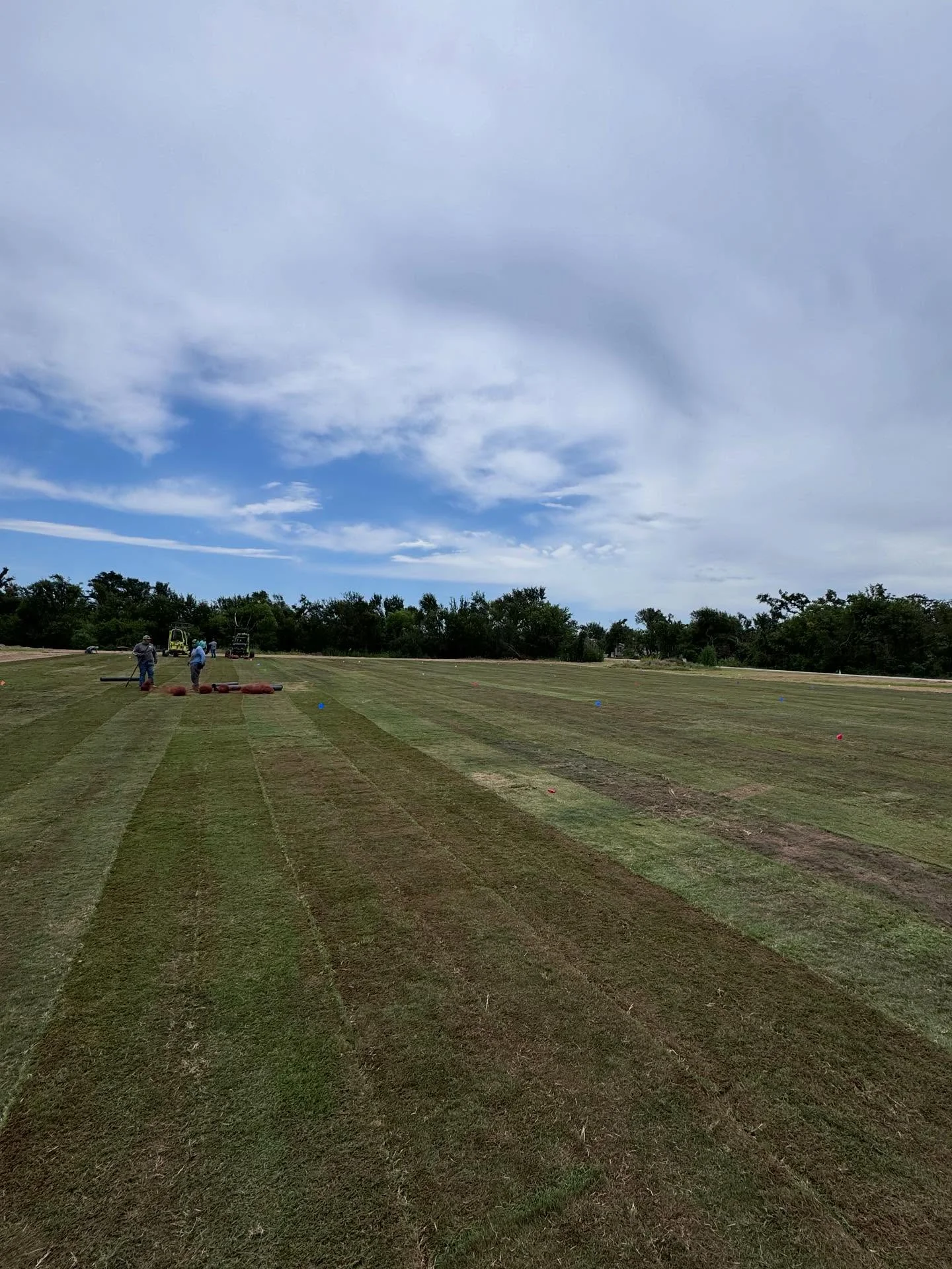Freshly installed sod with parallel rows across a large residential lawn in Weatherford, TX