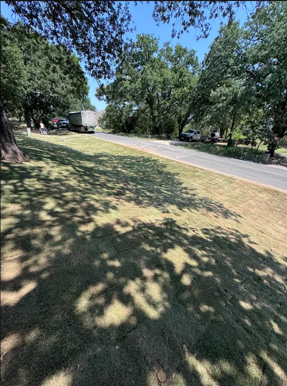 Graded residential driveway with mature oak trees and cleared lawn area